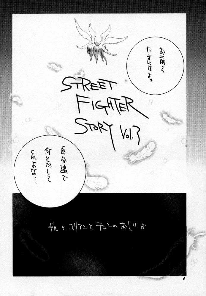 [P-collection] Street Fighter Story 