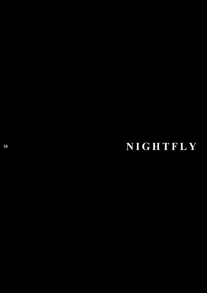 Nightfly 6 - Eve of Destruction pt.2 (夜間飛行6) (J) 