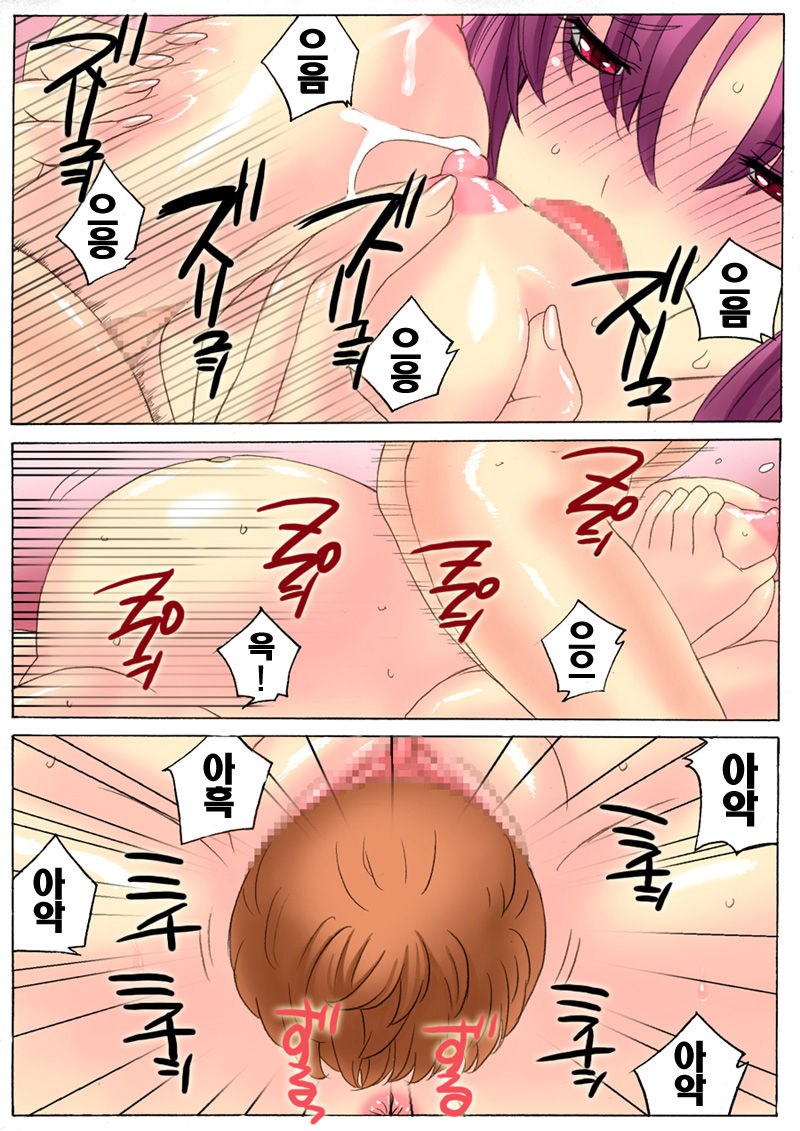 [The Saturn] 妊娠家族1~4 (korean) [The Saturn] ボテプリ1~4 (韓国語)