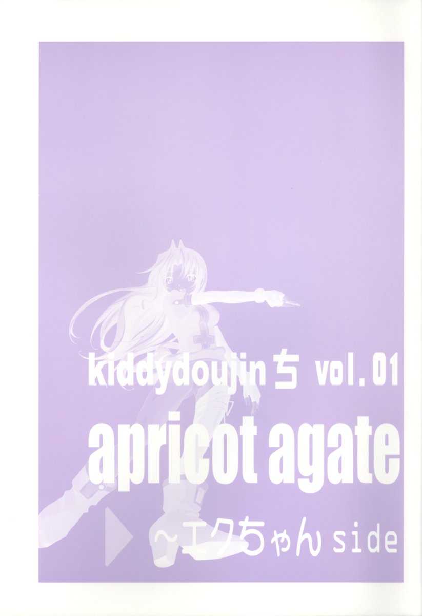 (C63) [BREEZE (Ban Hisatoyo)] apricot agate - Eclair side (Kiddy Grade) [English] (C63) [BREEZE (伴久豊)] apricot agate～エクちゃんside (キディグレイド)