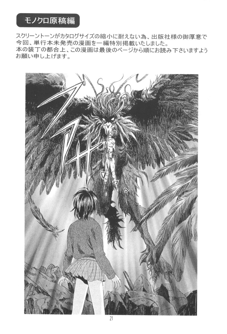 [Yuugengaisha Anime World Star (Kawarajima Kou)] Radical Arts Graphics [有限会社アニメワールドスター (かわらじま晃)] ラジカルアートグラフィックス