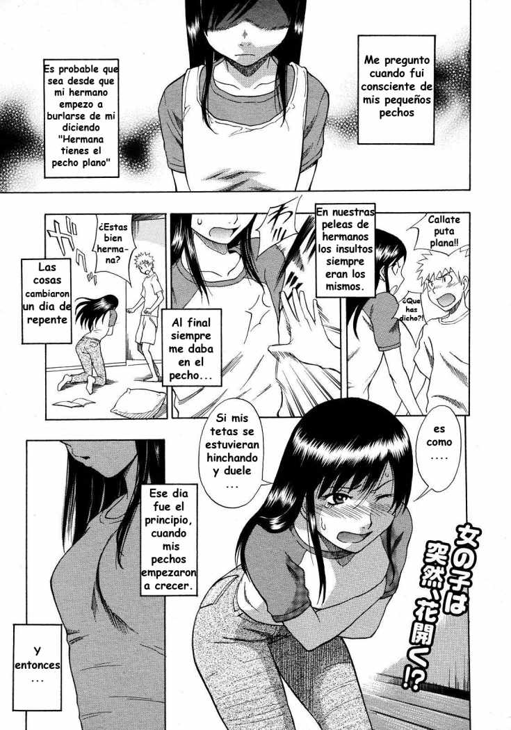 [Shiden Akira] Hinnyuu Kyonyuu History (COMIC Megastore 2008-03) [Spanish] =Kitsune Scanlation= [しでん晶] 貧乳巨乳ヒストリー (コミックメガストア 2008年3月号) [スペイン翻訳]