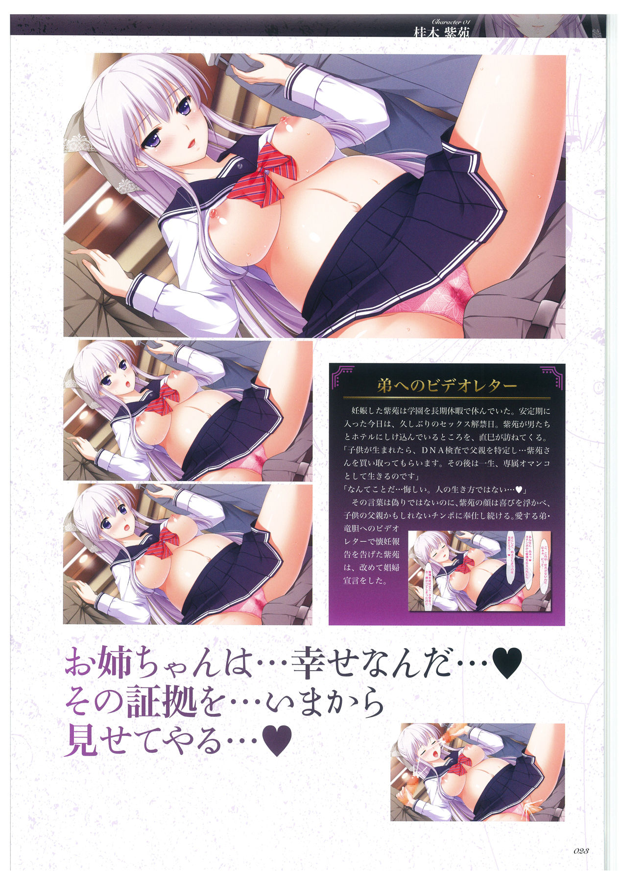 Seishojyo Visual Complete Book 聖娼女 ビジュアルコンプリートブック